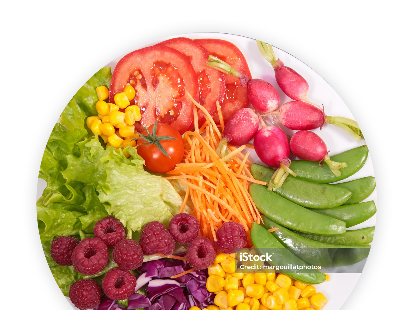 services-sasdf-2 copy